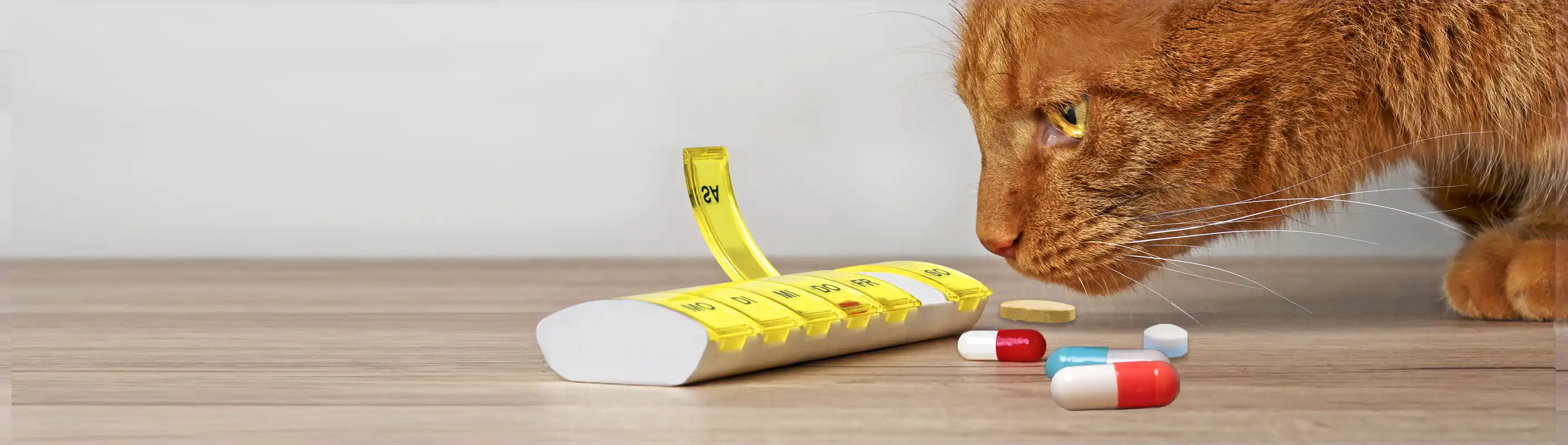Comprehensive pet perscriptions ensure your pet receives the medicines they need.
